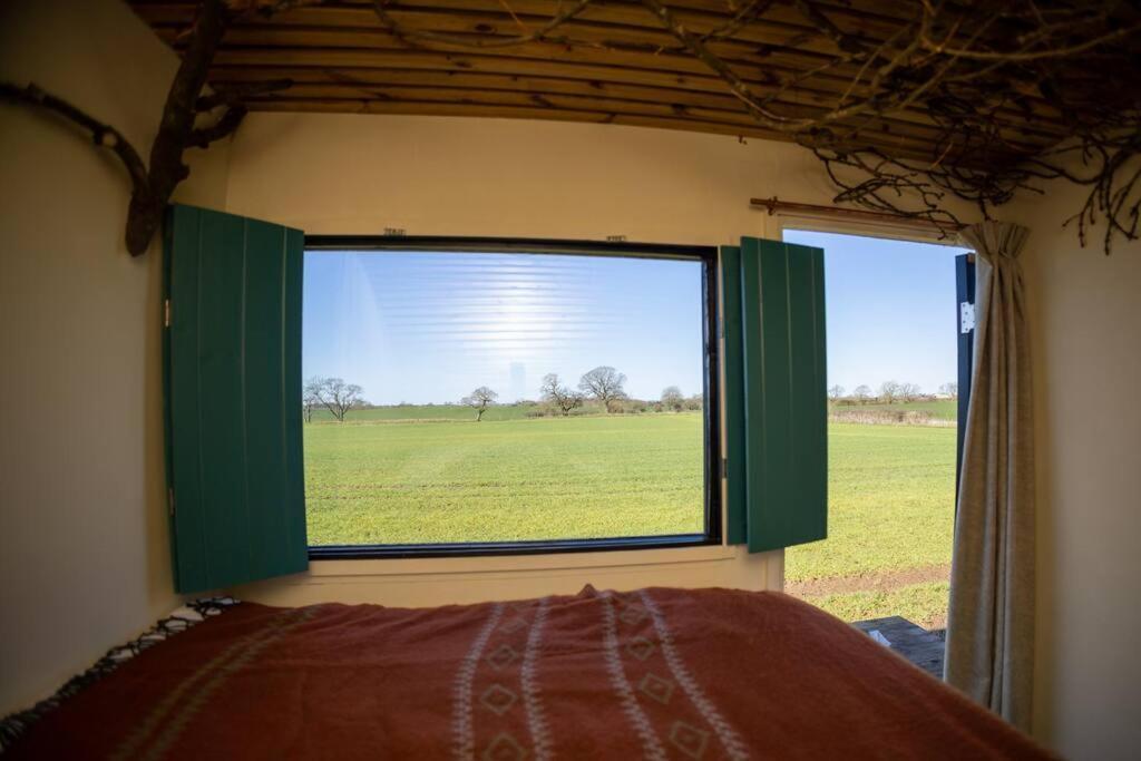 'Pipistrelle' Remote Off-Grid Micro Cabin Villa Sedgefield Bagian luar foto