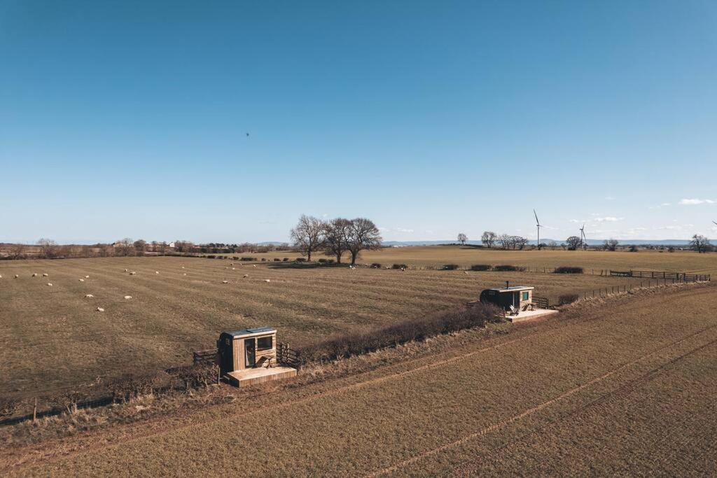 'Pipistrelle' Remote Off-Grid Micro Cabin Villa Sedgefield Bagian luar foto